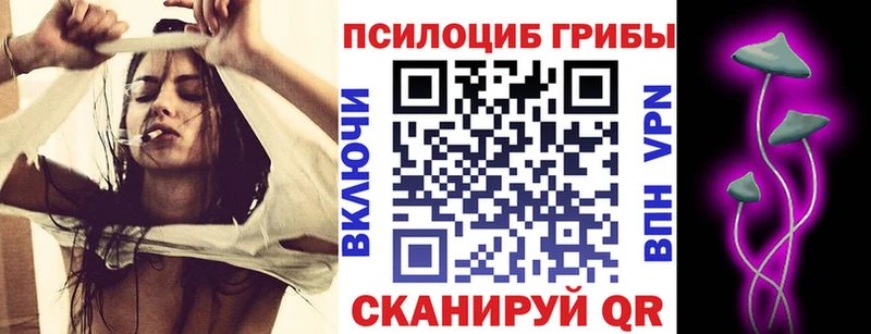 мега ССЫЛКА  Городище  Галлюциногенные грибы прущие грибы 